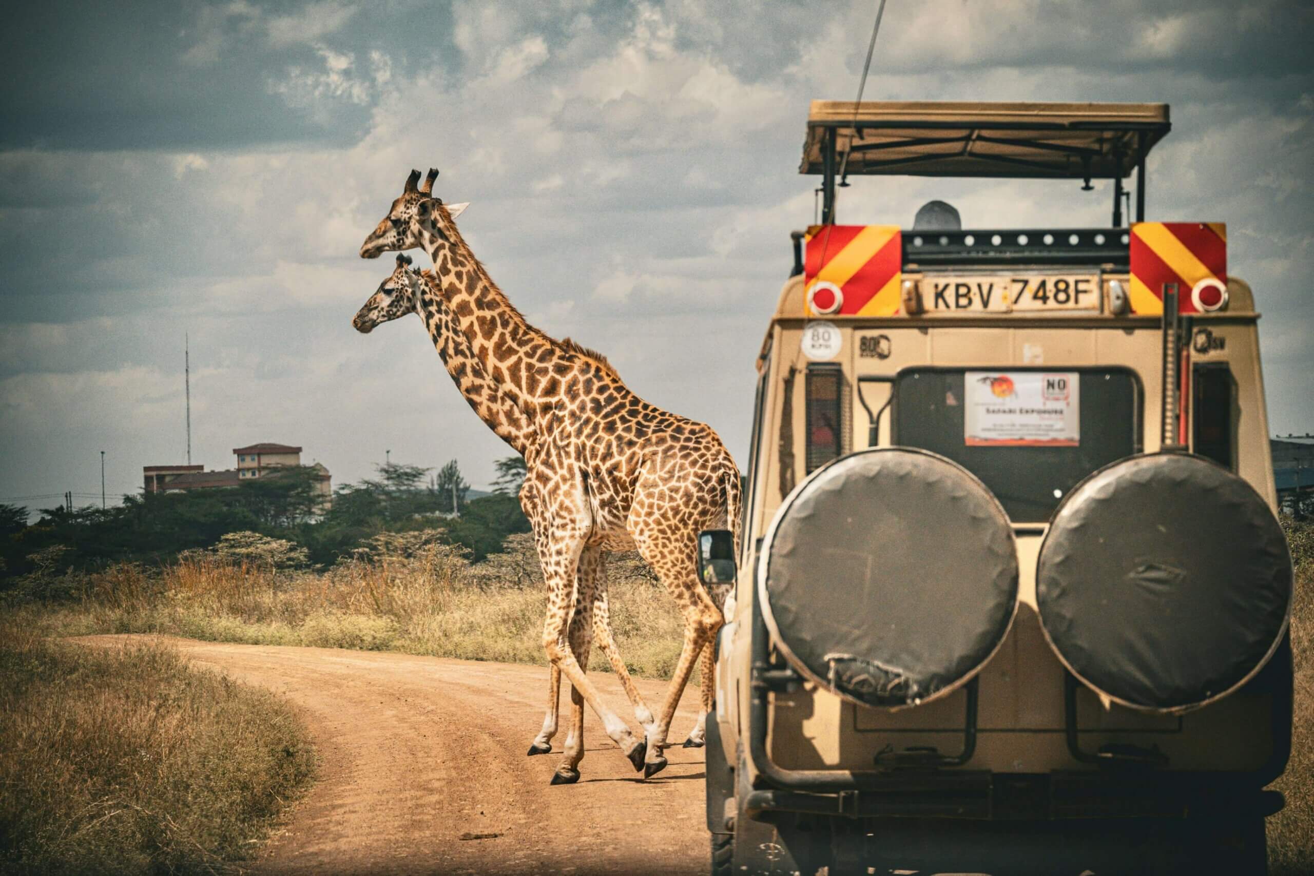 Kenya Wildlife Tours: What a Safari Is Actually Like (And What No One Tells You)