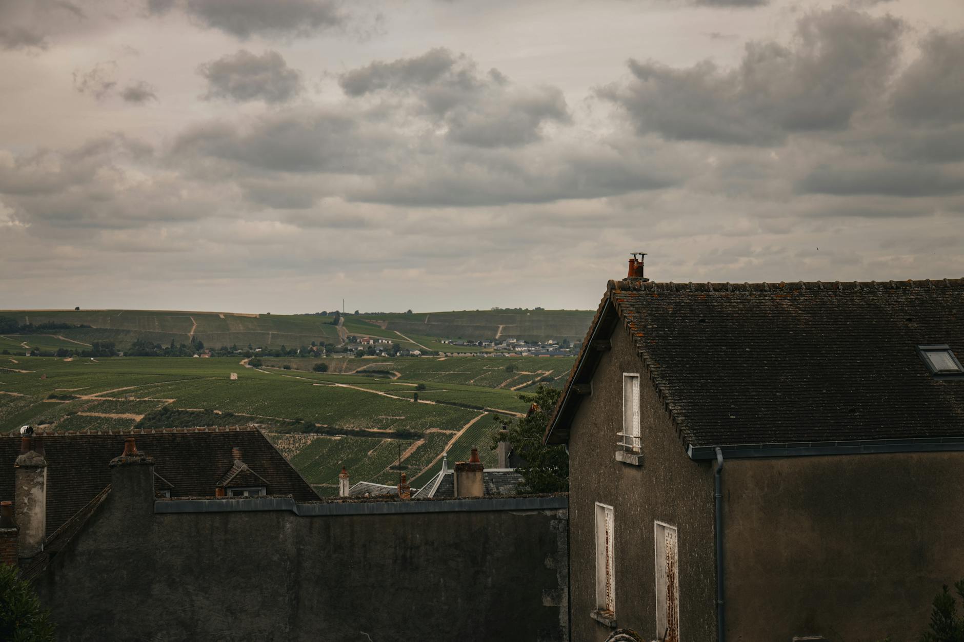 Champagne vineyards rolling toward Reims Cathedral in the background