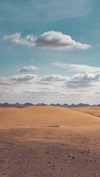 Vast sandy desert landscape with rippled dunes under a harsh clear sky in Egypt