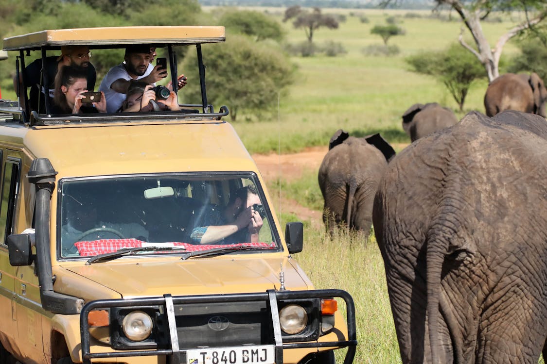 A family in a 4x4 jeep exploring forest trails, enjoying the flexibility that a private tour provides