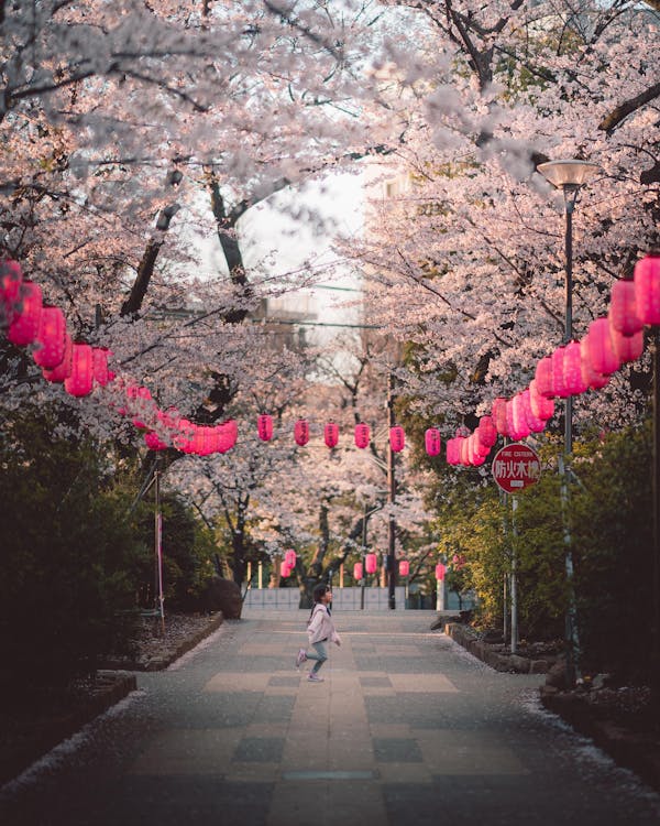 Japan’s Best Festivals: A Traveler’s Guide to When and Where to Go