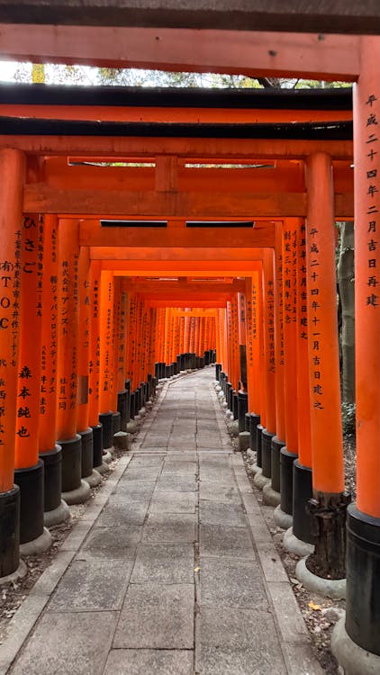 Rows of vibrant vermilion torii gates winding through the forested hillside at Fushimi Inari Shrine, Kyoto
