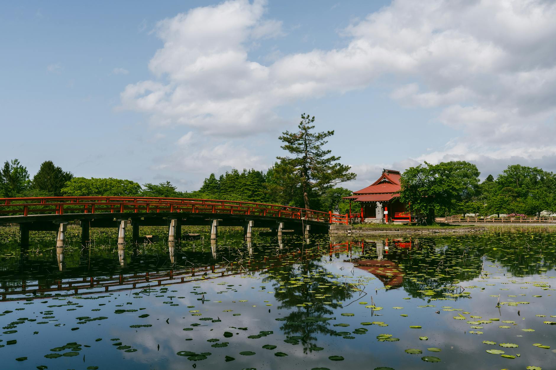 Monet's Japanese bridge and water lily pond at Giverny in full bloom