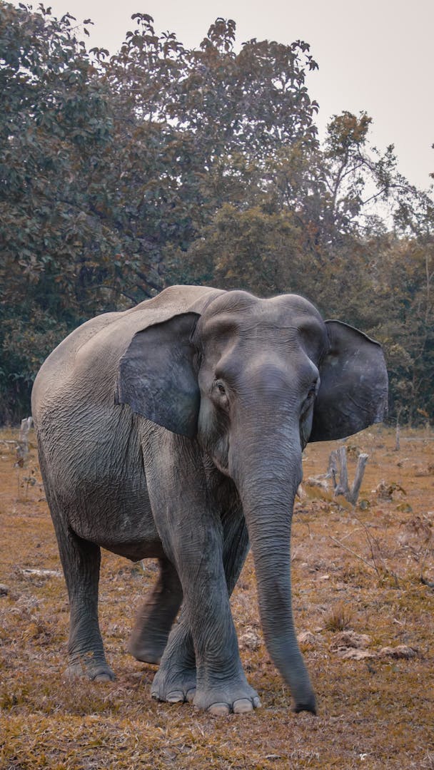 Best Tanzania safari tours: Build the route around time