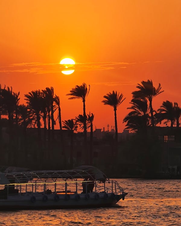 Golden sunset over the Nile River with silhouetted palms on the bank