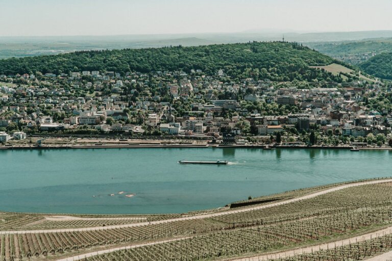 Scenic Rhine River gorge with rolling vineyards in summer