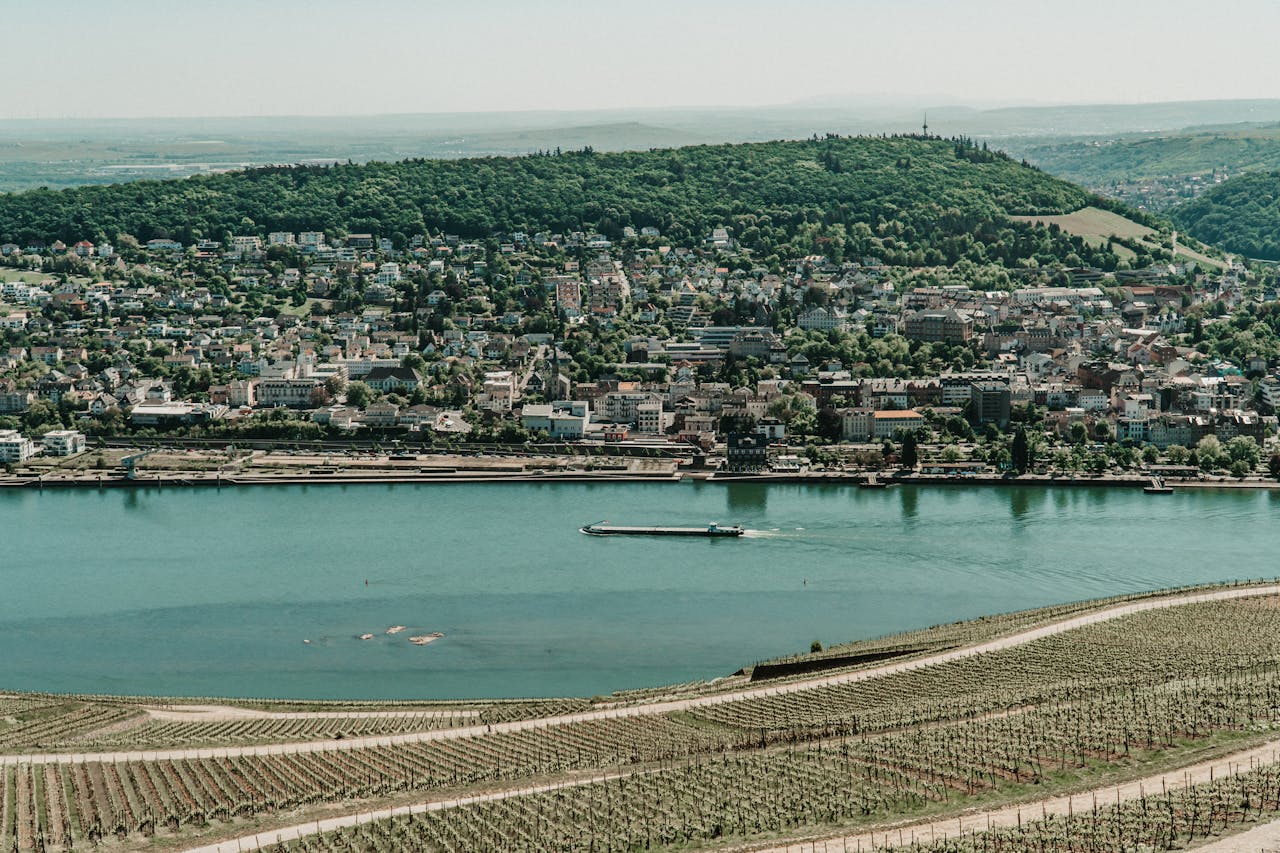 Best Rhine River Cruises for First-Timers 2026