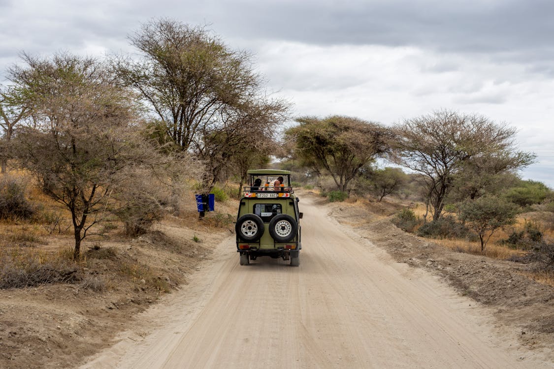 Safari vehicle on game drive track in African savannah with wildlife