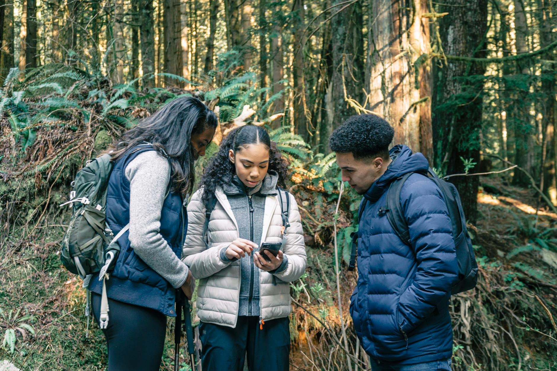 Small group of hikers on a trail with a guide, the format that gives you both adventure and new friends