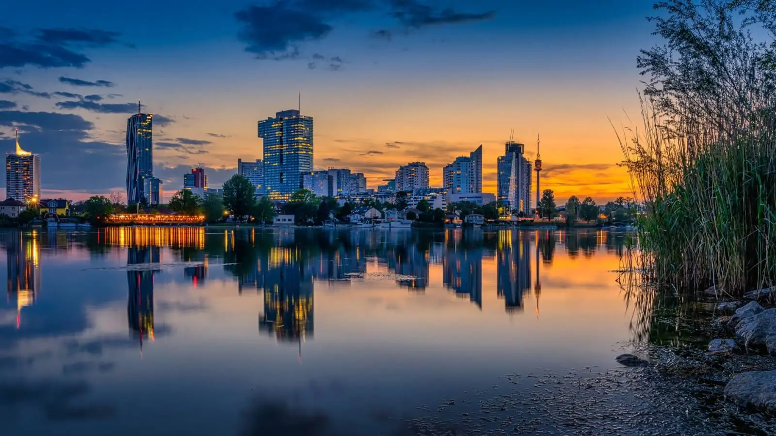 Best Danube River Cruises for First-Timers: What to Book and Why ToursZoom Evening lights reflecting off the Danube River in Vienna, Austria