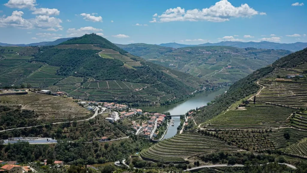 Best Douro River Cruises for First-Timers 2026 ToursZoom Pinhão quintas port wine estate Douro Valley Portugal