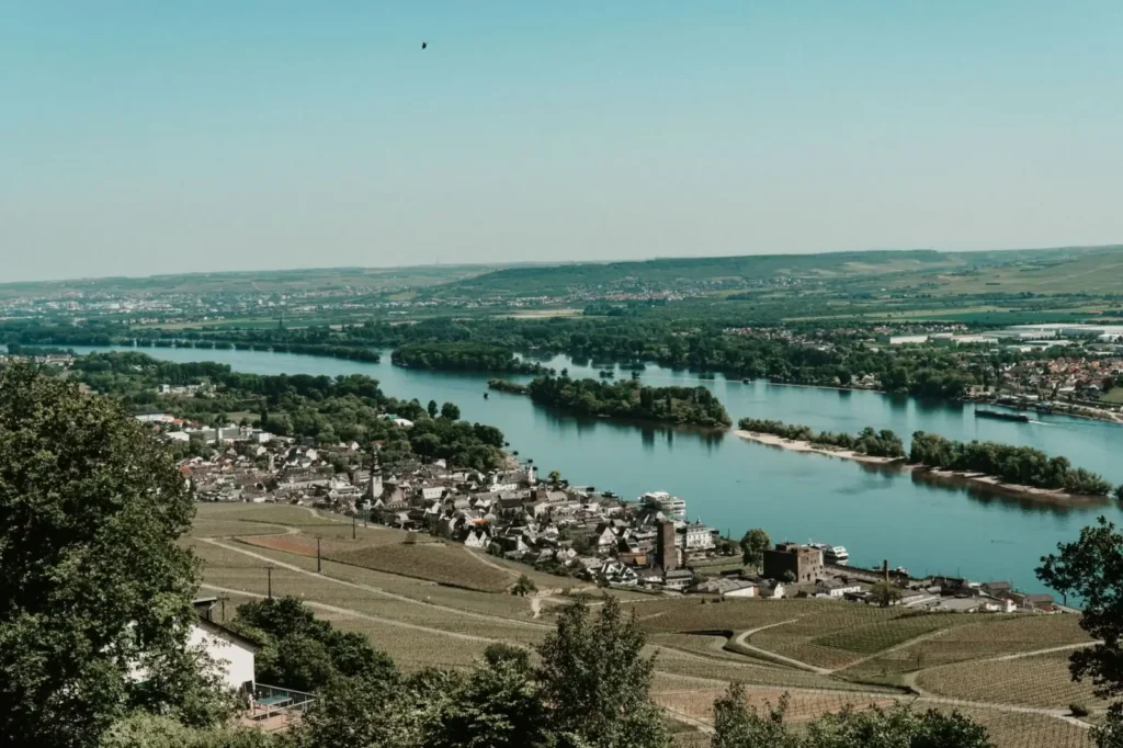 Rhine River spring vineyards Germany sunshine