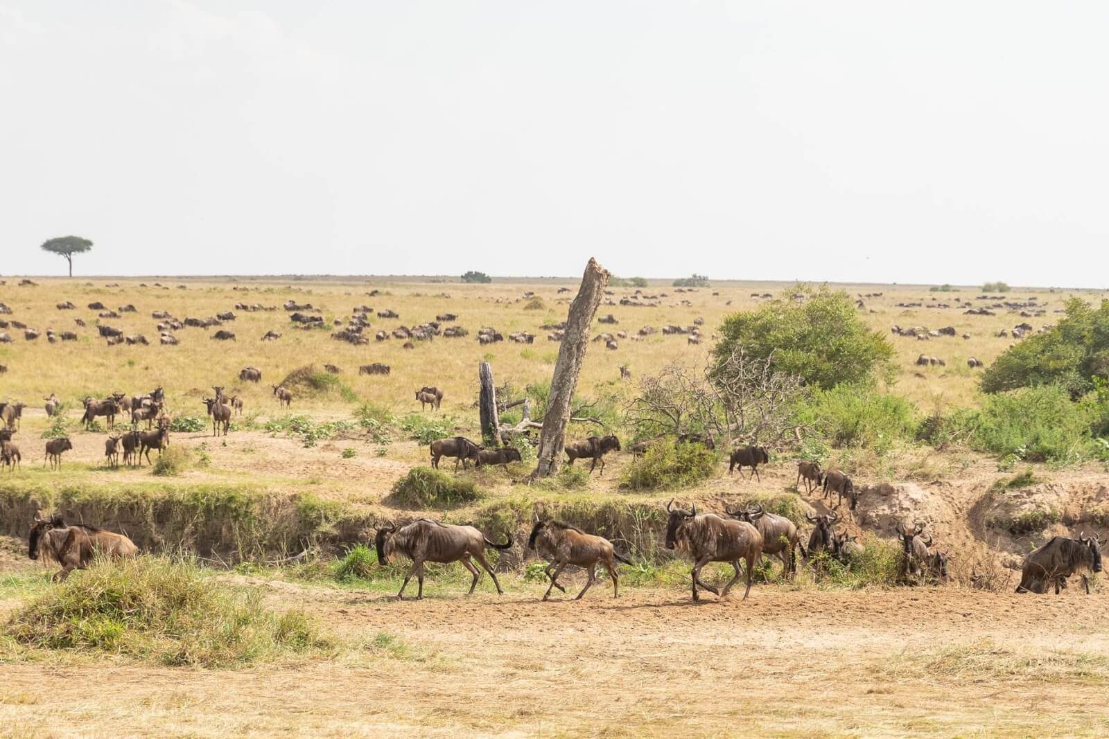 The Best Time to Book a Tour (And How to Save Money Doing It)
