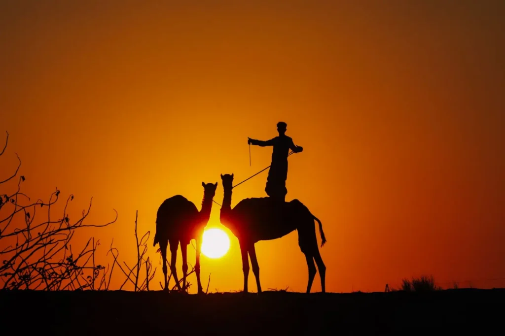 Dubai desert sunset scene with golden dunes and a camel silhouette against the sky