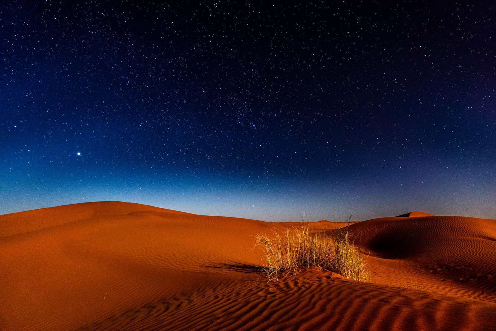 Dubai Desert Safari: How to Choose the Right Experience (And Make the Most of It)
