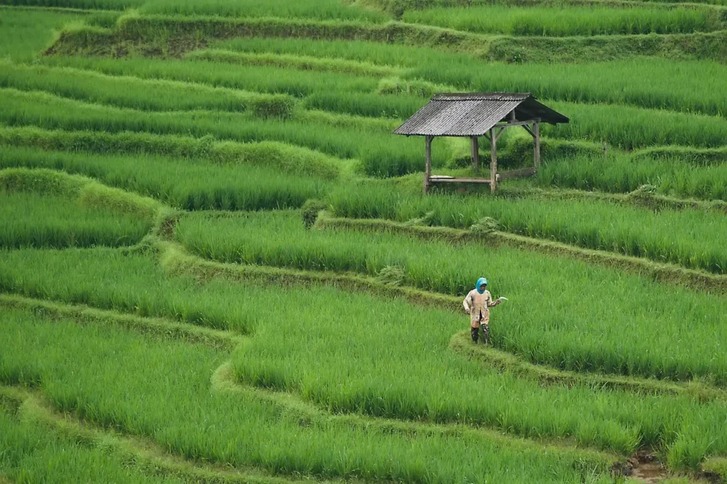 10 Hidden Gems in Japan Only Locals Know About ToursZoom Cycling through satoyama country roads on Sado Island, Niigata
