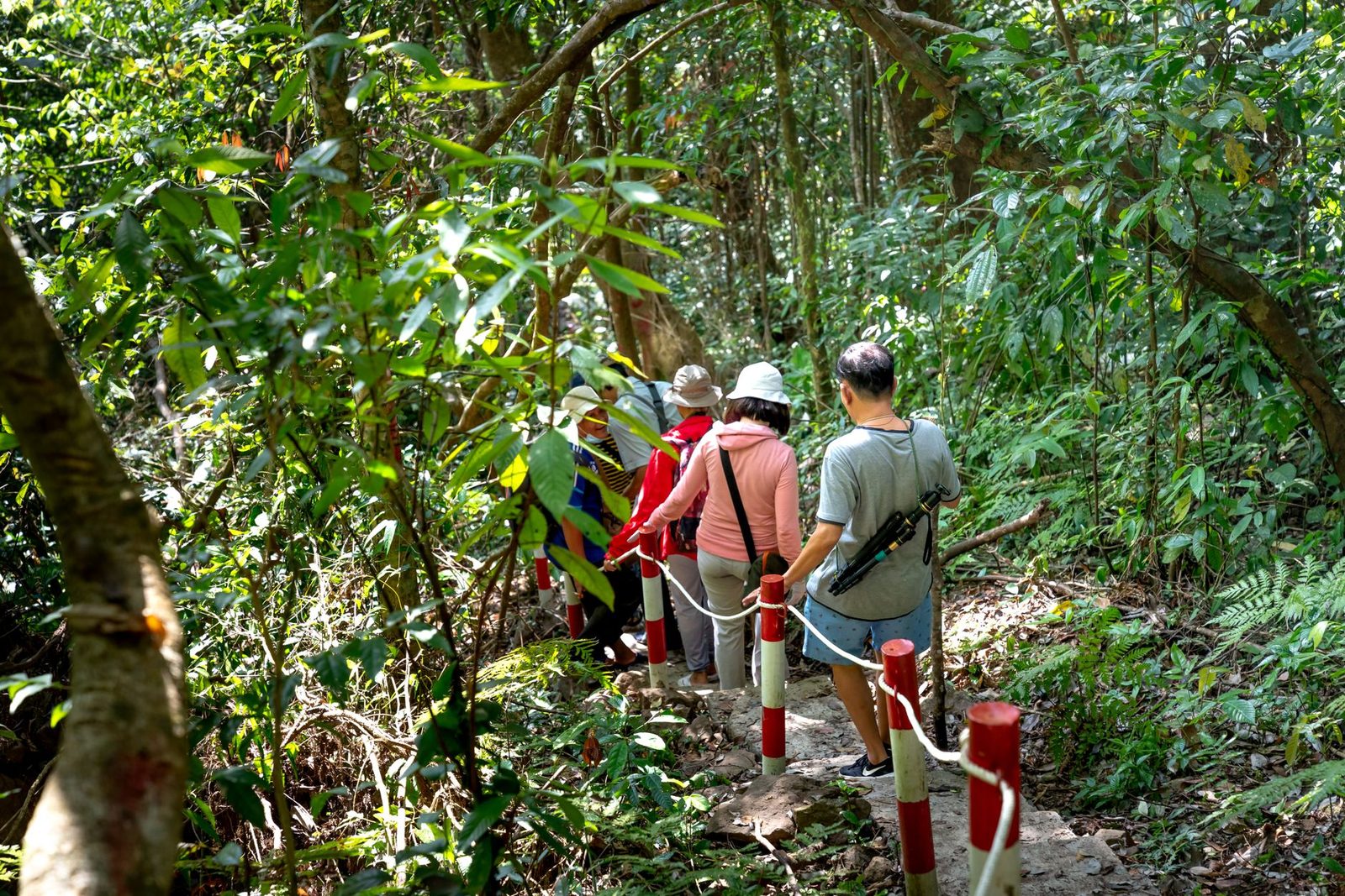 How Group Tours Work: Sizes, Costs, and What to Actually Expect
