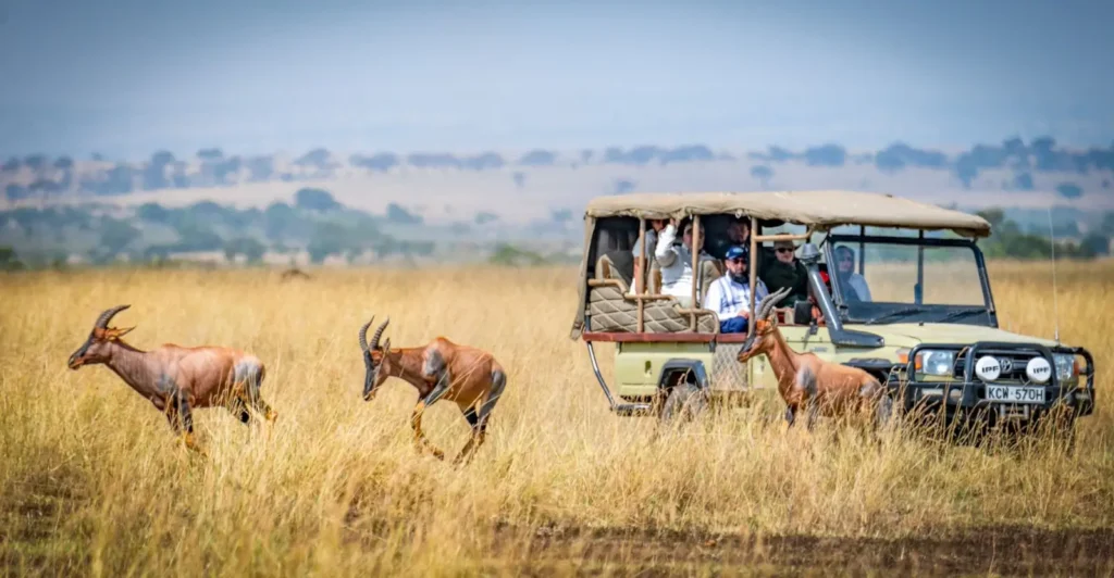 How to Choose a Tour Operator: The Complete Vetting Checklist (2026) ToursZoom Wild animals in the Kenyan savannah during a safari tour