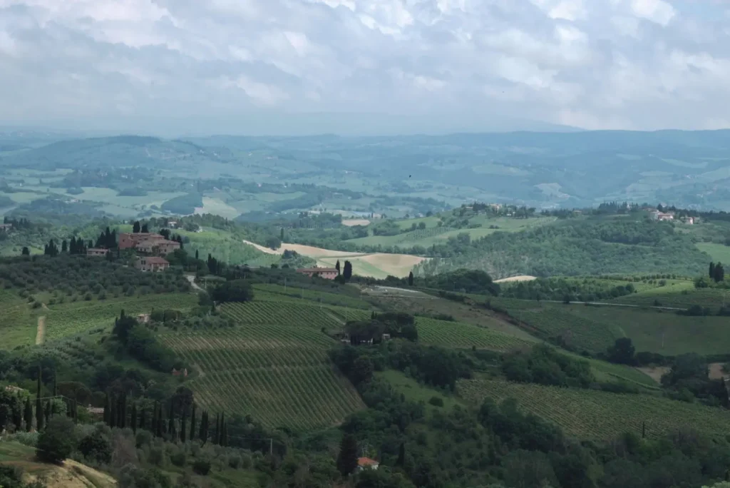 Italy tours in May: Spring cities, countryside, and classic routes ToursZoom Rows of grapevines stretching across rolling hills under a clear May sky in Tuscany