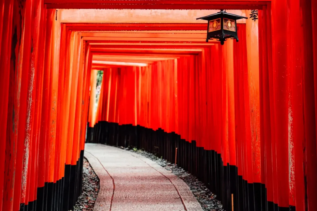 Japan Tours: The Complete 2026 Travel Guide ToursZoom Sunlight streaming through thousands of torii gates at Fushimi Inari in Kyoto