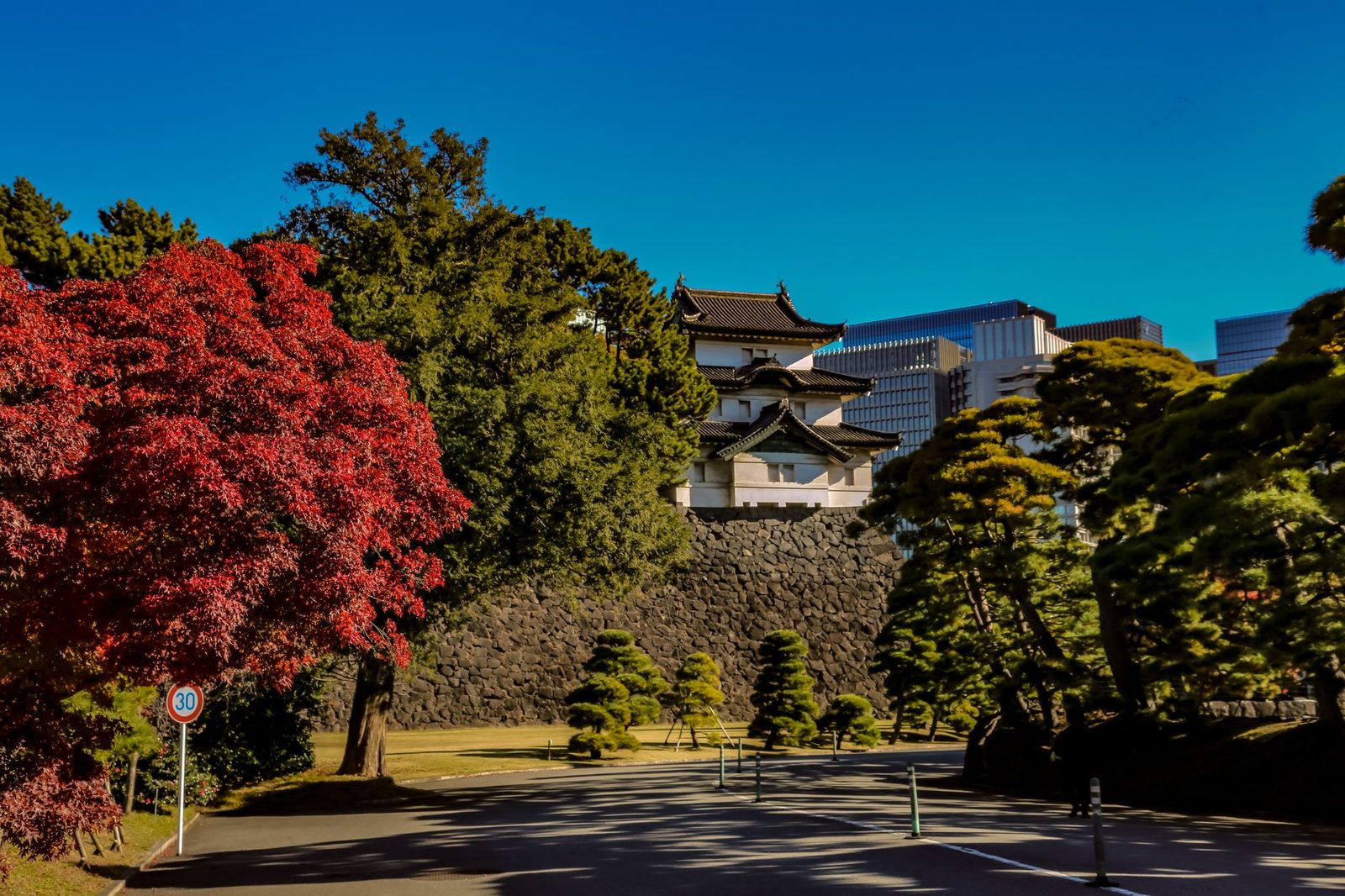 Autumn foliage at Tokyo's Imperial Palace