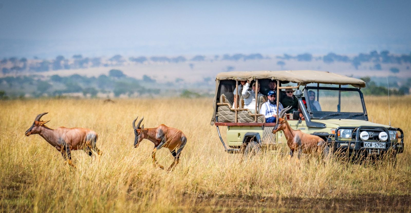 Safari vehicles driving through the savannah with wildlife in the background during a dry season safari