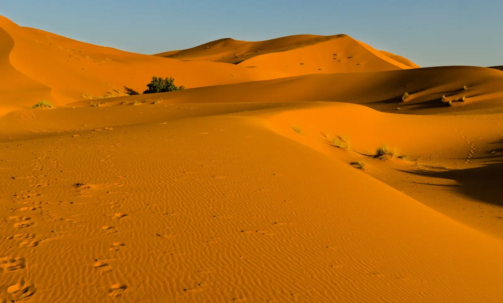 Morocco tours in April: Prime spring weather for cities, Atlas, and desert ToursZoom Golden dunes of the Sahara Desert in April