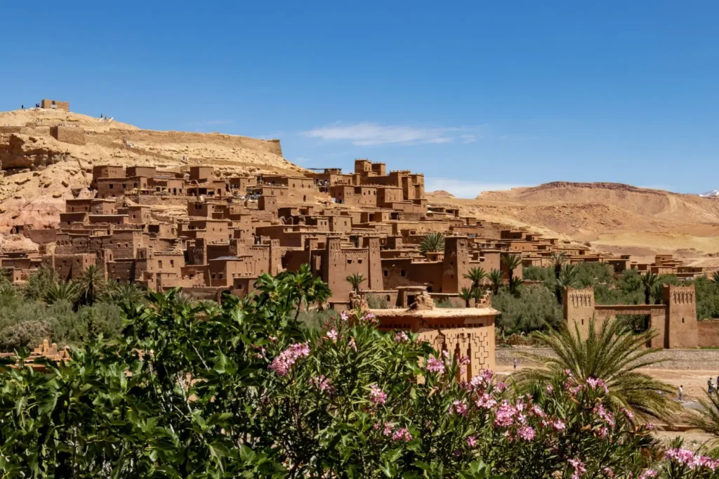 Morocco tours in March: Spring shoulder season and desert routes ToursZoom Spring flowers blooming in the gardens around Fes' kasbahs