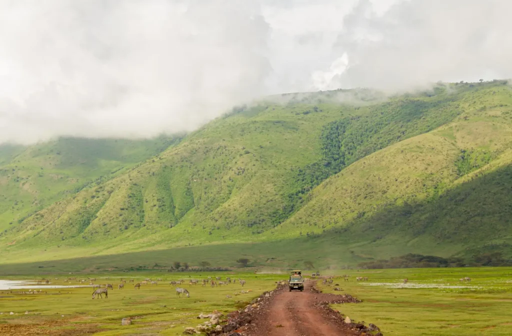 Tanzania safari tours in August: Peak dry season and northern Serengeti planning ToursZoom Golden hour at the Ngorongoro Crater in Tanzania