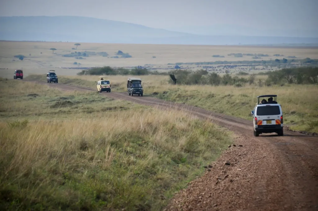 Tanzania safari tours in August: Peak dry season and northern Serengeti planning ToursZoom Game drives across the expansive Serengeti plains during August