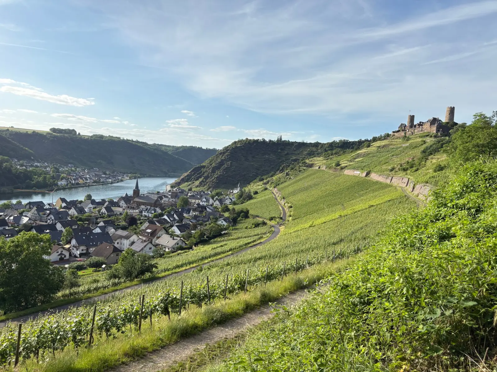 Why River Cruises Are One of the Fastest-Growing Travel Trends ToursZoom Castle ruins along the Rhine River, surrounded by lush vineyards and picturesque villages